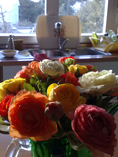 Kitchen Flowers